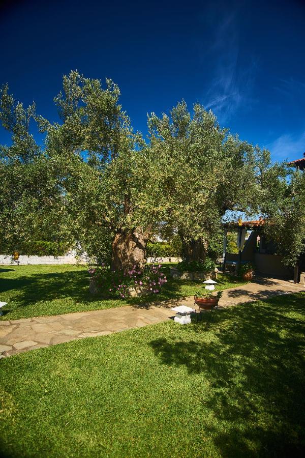 Villa The Cosy Olive Ormos Panagias Exterior photo